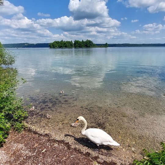 Golf-Club Feldafing e.V.