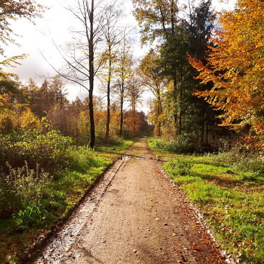 Landschaftsteil Am Mückenteich