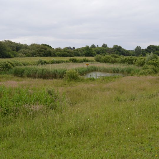 Church Lane Flood Meadow