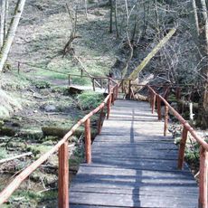 Rezerwat przyrody Źródła Rzeki Łyny