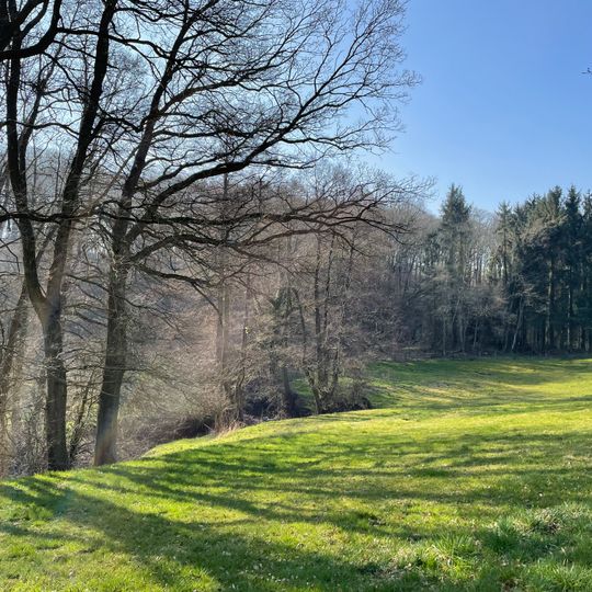 NSG Rotbach- und Bruchbachtal