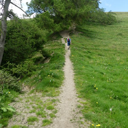 Offa's Dyke: section 175m east of Cefn Bronydd