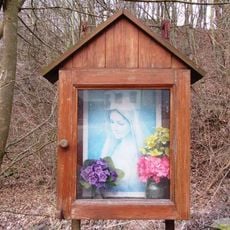 Obrázek Panny Marie v Dolech pod lesem