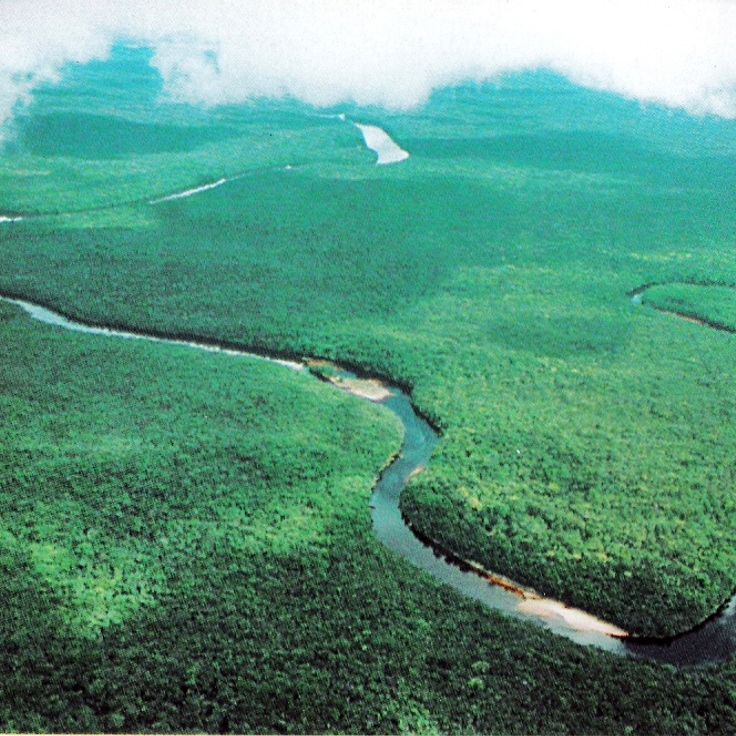 Delta de l'Orénoque