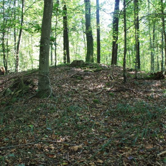 Hügelgräberfeld Winkling