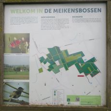Meikensbossen
