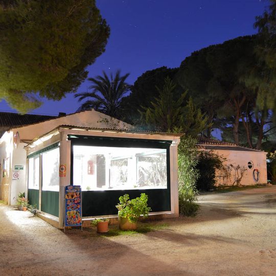 Camping Los Pinos