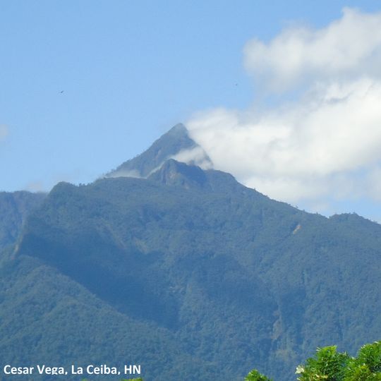 Pico Bonito National Park