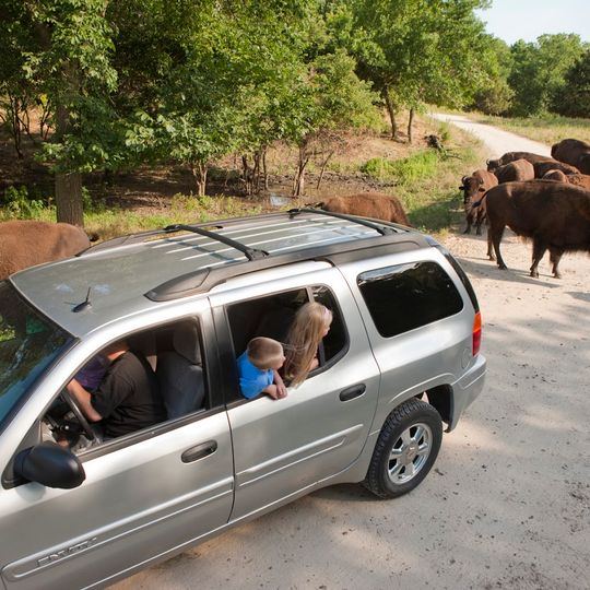 Lee G. Simmons Conservation Park and Wildlife Safari