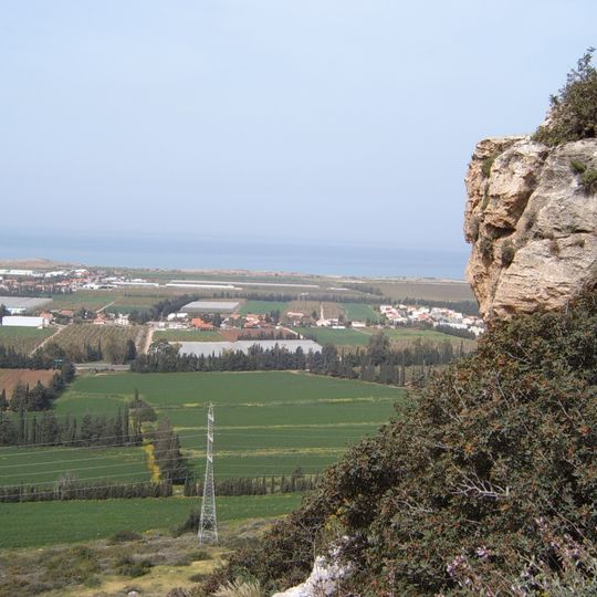 Israeli coastal plain