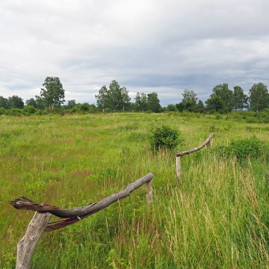 Gohrischheide und Elbniederterrasse Zeithain