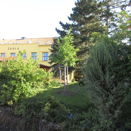 Republic Tilia at Písnice school