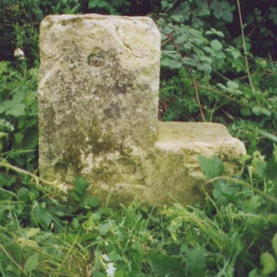 Milestone, 250m W of Lions Den Farm