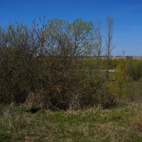 Божиковецький заказник