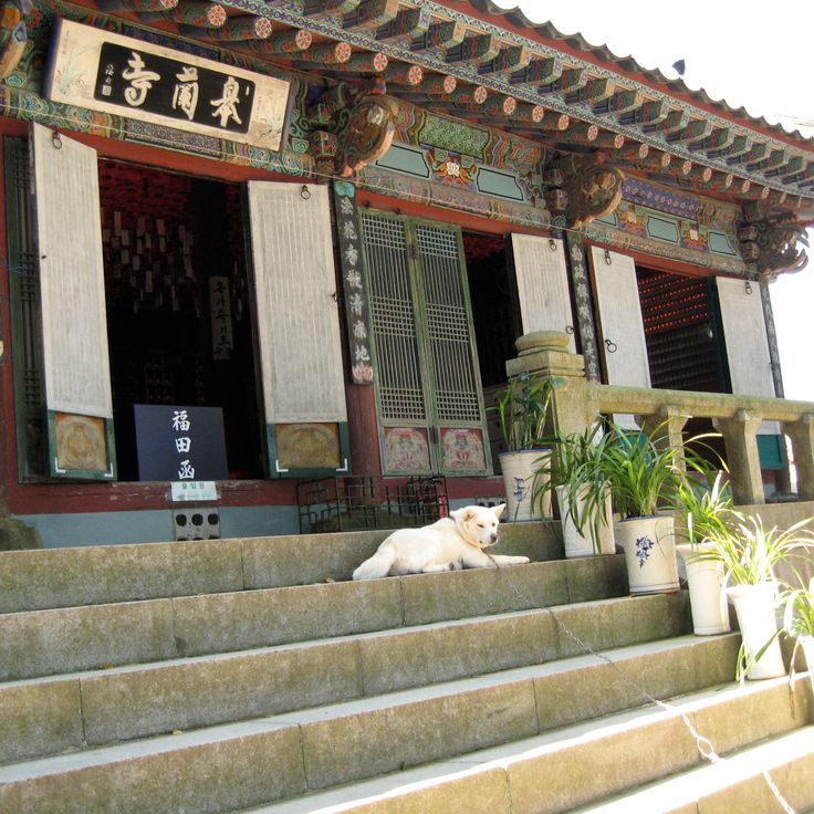 고란사