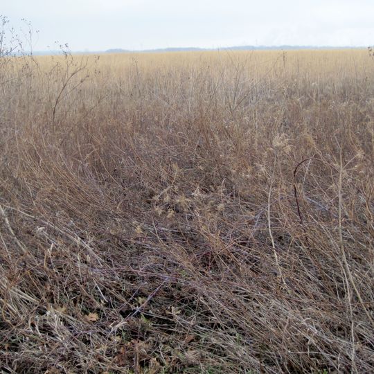White and Company's Goose Lake Stoneware Manufactury