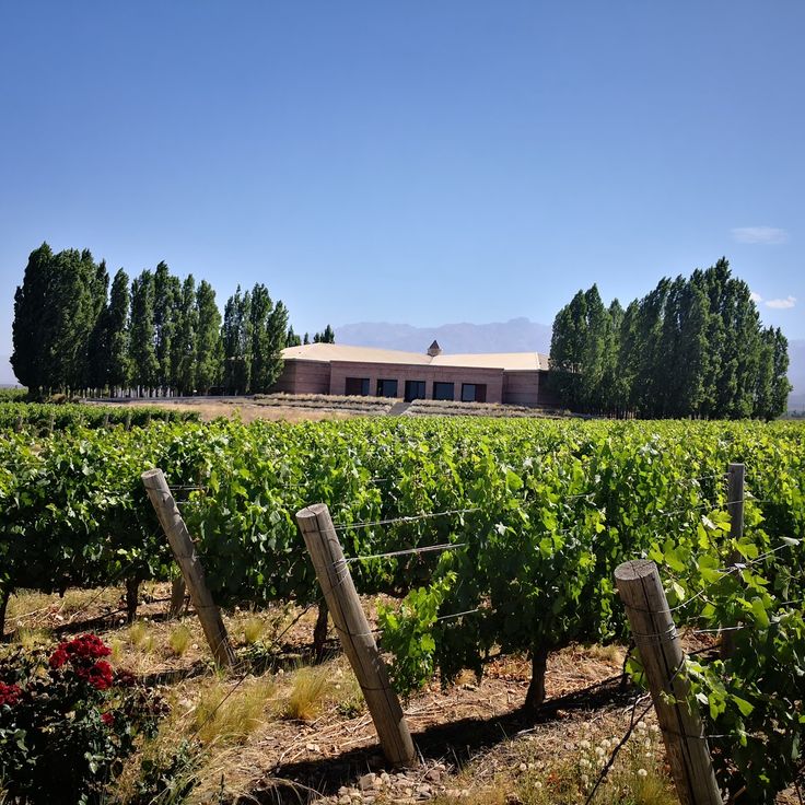 Salentein Winery