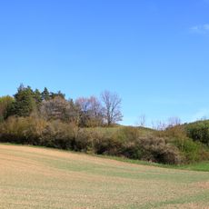 Trespenrasen Roßberg