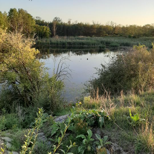 Löserbecken von Weiterstadt