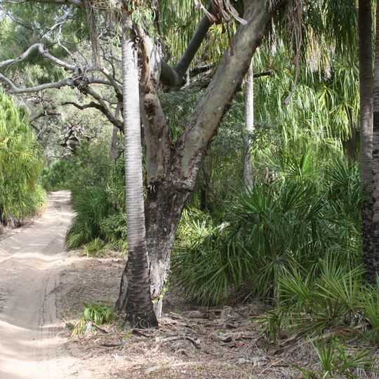 Deepwater National Park