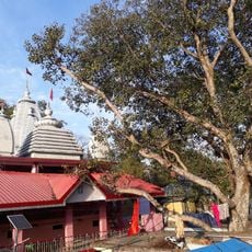 Maa Simsa temple
