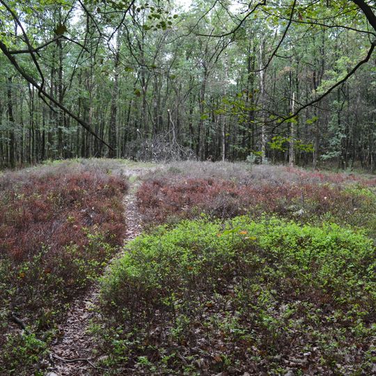 Terrein waarin vier grafheuvels waarvan één gedeeltelijk