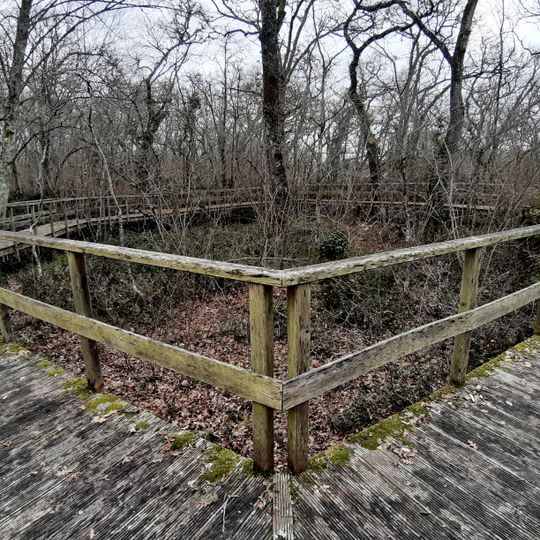 Enceinte médiévale de Castets