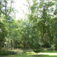 Briery Wood Heronry, Belvoir