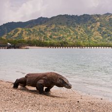 Nationaal Park Komodo