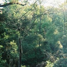 Ravine Gardens State Park