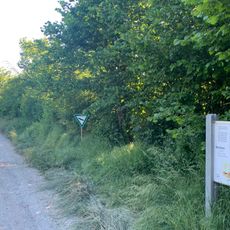 Hecke im Gewann Masselter