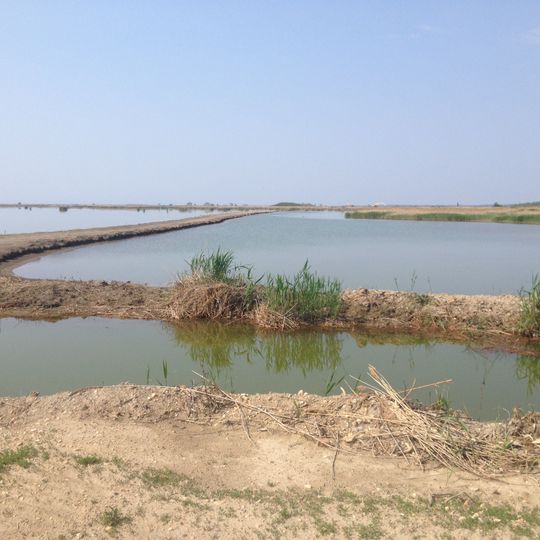 Hart-Miller Island State Park, Maryland