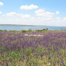 Tyligul Estuary Landscape Park, Mykolaiv Oblast