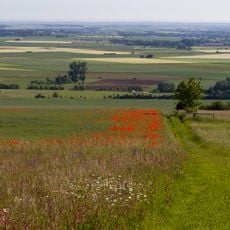 NSG Buervenicher Berg / Toetschberg