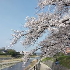 葵公園