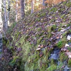 Kullings-Skövde 14:1