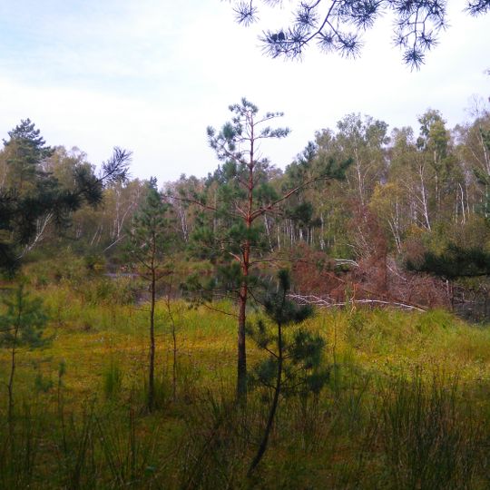 Nature reserve Broduszurki
