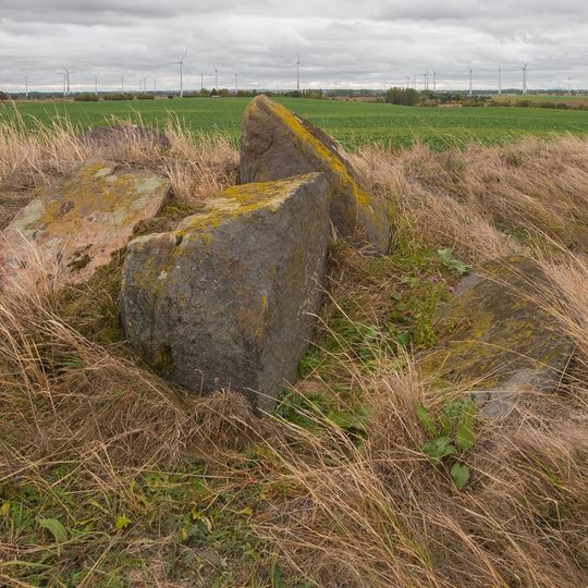 Großsteingrab Schönfeld