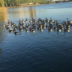 Île de loisirs de Créteil