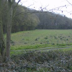 Titsal Wood, Shadingfield