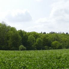 Borngrund bei Oberndorf
