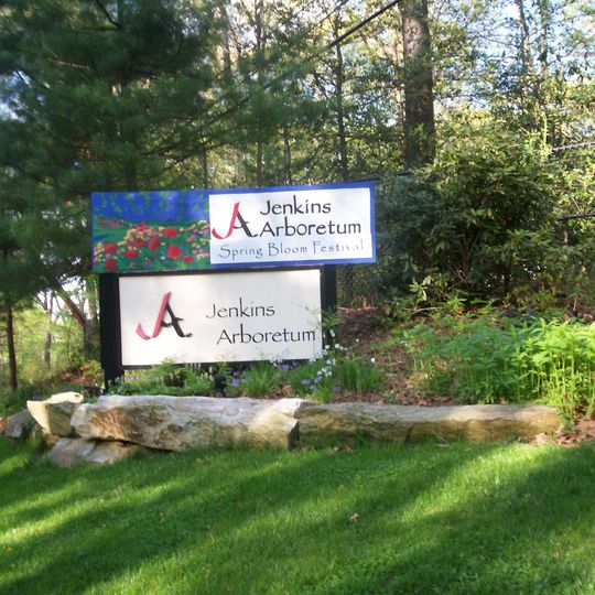 Arboreto Jenkins