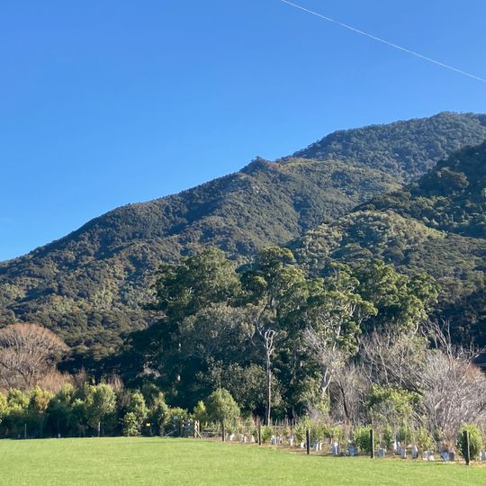 Paremata Flats Reserve