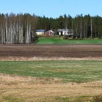 Kauhava