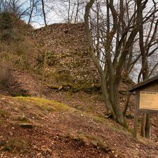 Wildenstein Castle (Palatinate)