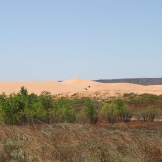 Parque Estadual Little Sahara