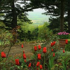 Kiftsgate Court Gardens