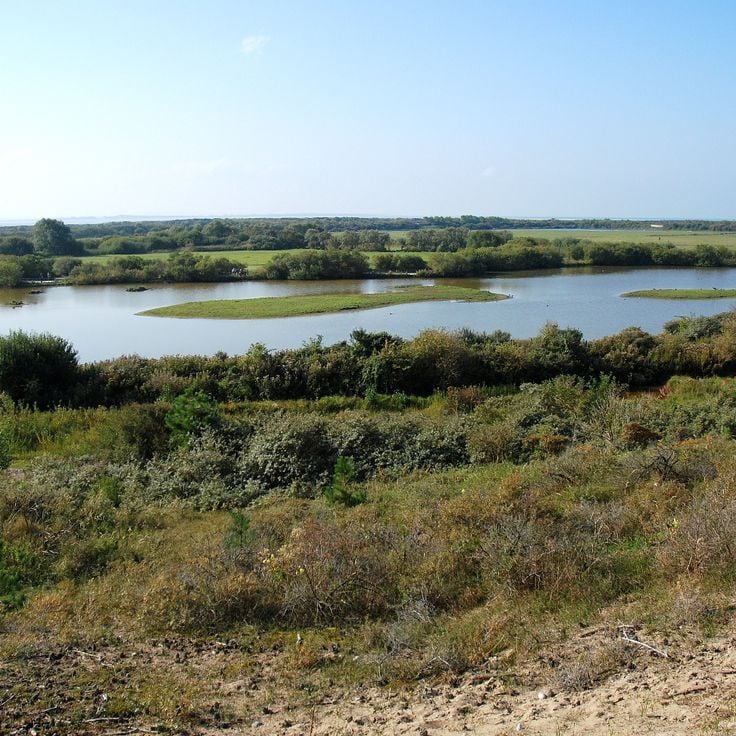 Parc du Marquenterre