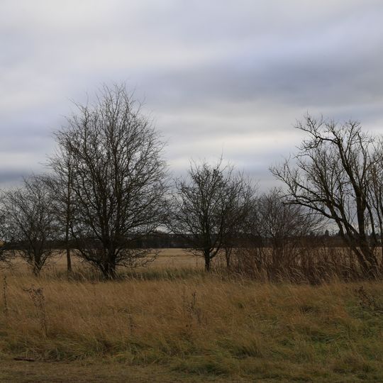 Heideflächen und Lohwälder nördlich von München