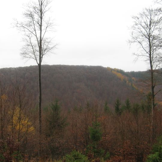 Großer Teichtalskopf